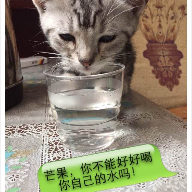 做假日本名古屋造形艺术大学文凭毕业证